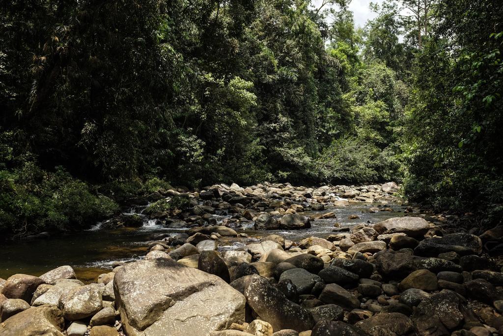 Sinharaja Hostel Deniyaya Luaran gambar