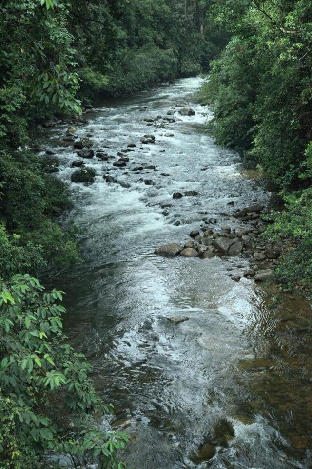 Sinharaja Hostel Deniyaya Luaran gambar